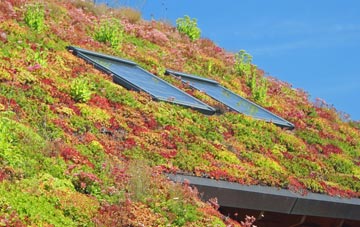 Hangsman Hill living roof systems